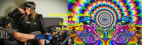 марки lsd Белокуриха